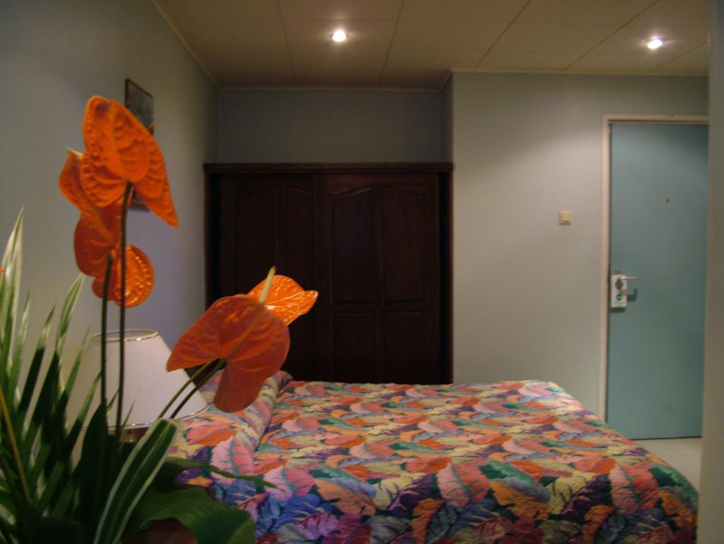 Ambassador Hotel & Casino Paramaribo Phòng bức ảnh
